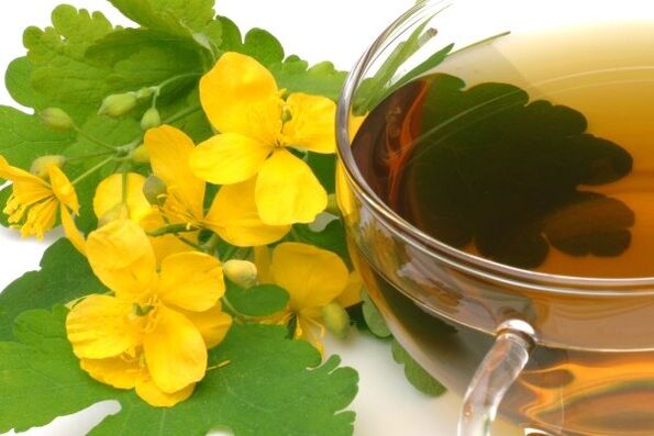 infuzie de celandină pentru tratamentul prostatitei